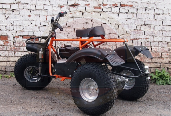 Трицикл Мотомир САФАРИ - 3L - 8+ ТРИТОН | Мототека